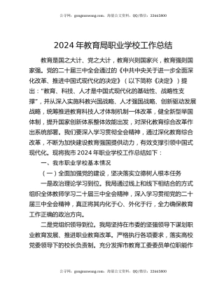 2024年教育局职业学校工作总结