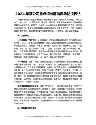 2024年某公司重点领域廉洁风险防控做法