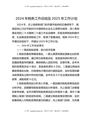 2024年税务工作总结及2025年工作计划