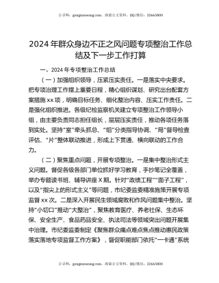 2024年群众身边不正之风问题专项整治工作总结及下一步工作打算