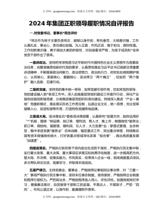2024年集团正职领导履职情况自评报告