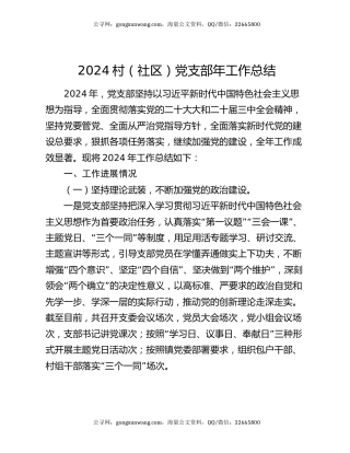 2024村（社区）党支部年工作总结