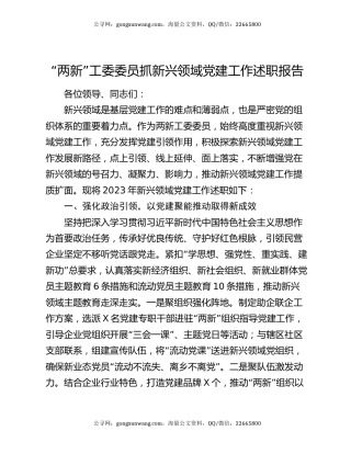 “两新”工委委员抓新兴领域党建工作述职报告