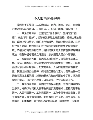 个人政治画像报告（2）