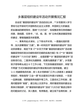 乡基层组织建设年活动开展情况汇报