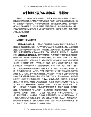 乡村组织振兴实施情况工作报告