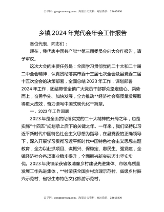 乡镇2024年党代会年会工作报告