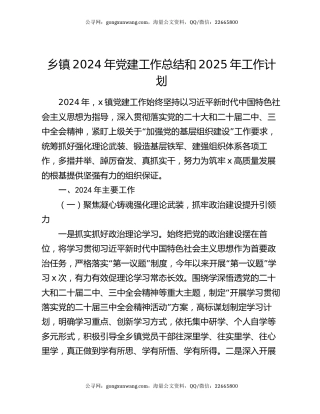 乡镇2024年党建工作总结和2025年工作计划