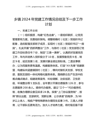 乡镇2024年党建工作情况总结及下一步工作计划