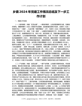 乡镇2024年党建工作情况总结及下一步工作计划（2）