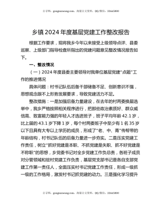乡镇2024年度基层党建工作整改报告