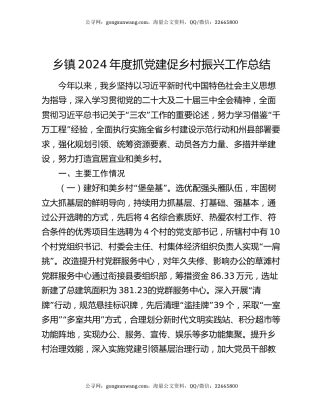 乡镇2024年度抓党建促乡村振兴工作总结