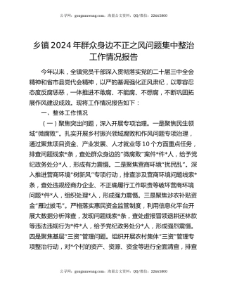 乡镇2024年群众身边不正之风问题集中整治工作情况报告