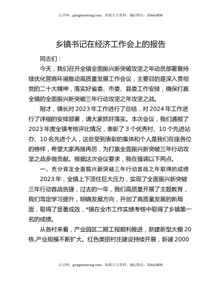 乡镇书记在经济工作会上的报告