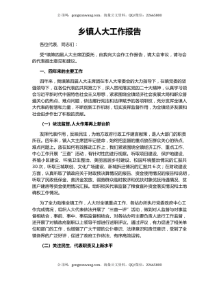 乡镇人大工作报告