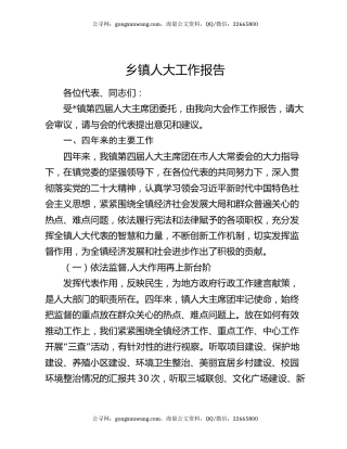 乡镇人大工作报告（2）