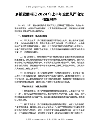 乡镇党委书记2024年上半年全面从严治党情况报告