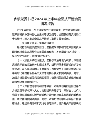 乡镇党委书记2024年上半年全面从严管治党情况报告
