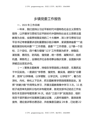 乡镇党委工作报告