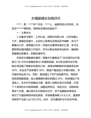 乡镇副镇长自我评价