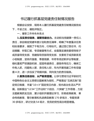 书记履行抓基层党建责任制情况报告