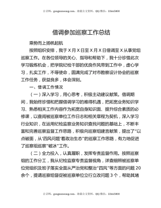 借调参加巡察工作总结