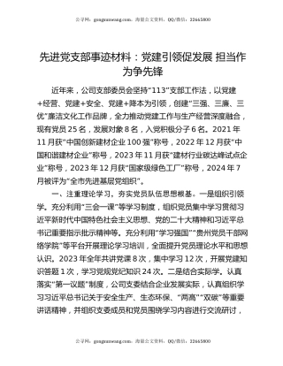 先进党支部事迹材料：党建引领促发展 担当作为争先锋