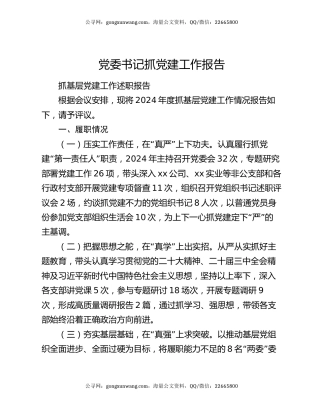 党委书记抓党建工作报告