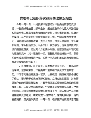 党委书记组织落实巡察整改情况报告