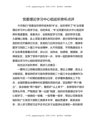 党委理论学习中心组巡听旁听点评