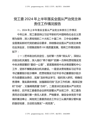 党工委2024年上半年落实全面从严治党主体责任工作情况报告