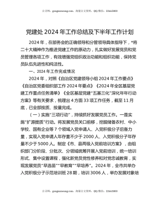 党建处2024年工作总结及下半年工作计划
