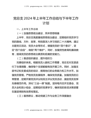 党总支2024年上半年工作总结与下半年工作计划