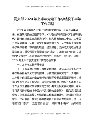 党支部2024年上半年党建工作总结及下半年工作思路