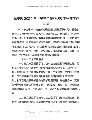 党支部2024年上半年工作总结及下半年工作计划