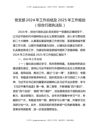 党支部2024年工作总结及2025年工作规划（综合行政执法队）