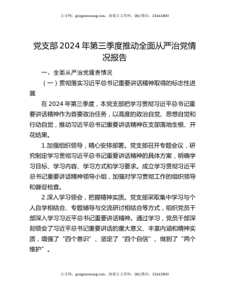 党支部2024年第三季度推动全面从严治党情况报告