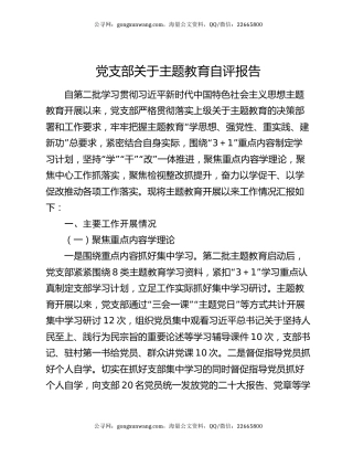 党支部关于主题教育自评报告