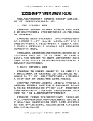 党支部关于学习教育进展情况汇报