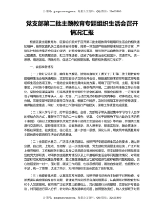 党支部第二批主题教育专题组织生活会召开情况汇报