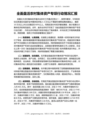 全面盘活农村集体资产专项行动情况汇报