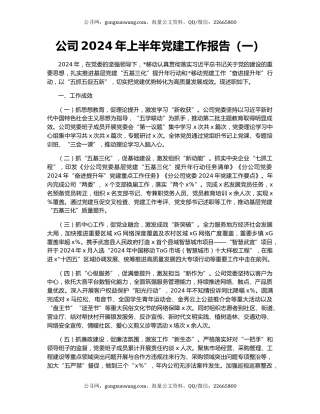 公司2024年上半年党建工作报告（一）