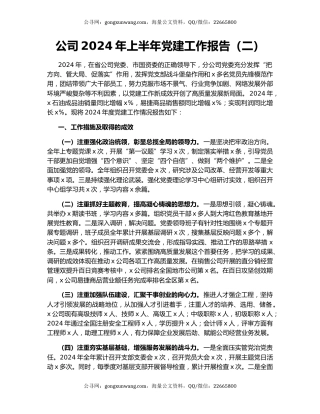 公司2024年上半年党建工作报告（二）