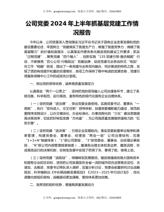 公司党委2024年上半年抓基层党建工作情况报告