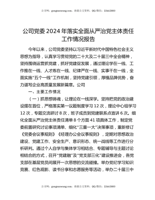 公司党委2024年落实全面从严治党主体责任工作情况报告