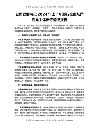 公司党委书记2024年上半年履行全面从严治党主体责任情况报告