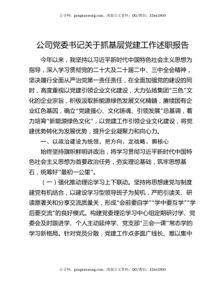 公司党委书记关于抓基层党建工作述职报告