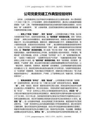 公司党委党建工作典型经验材料