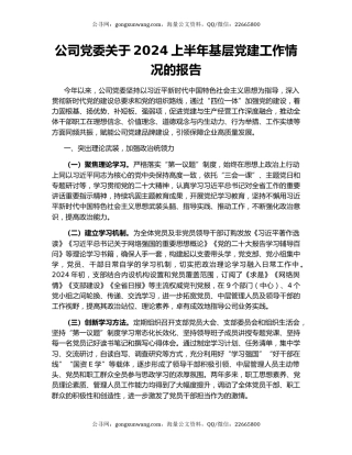 公司党委关于2024上半年基层党建工作情况的报告