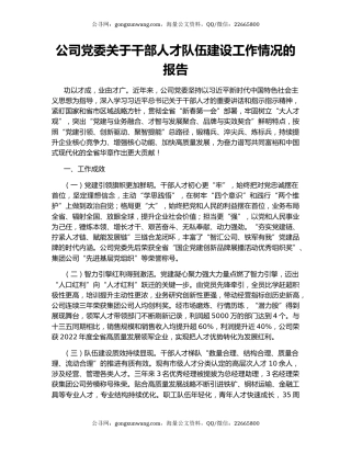 公司党委关于干部人才队伍建设工作情况的报告